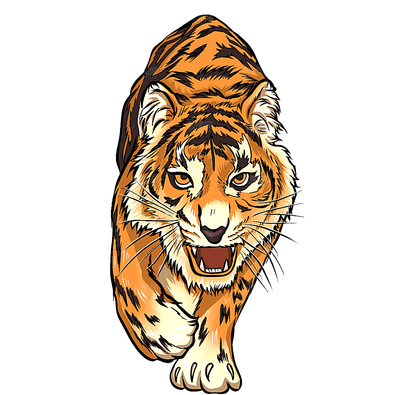 卡通水墨工笔画白描虎头老虎猛虎动物素材