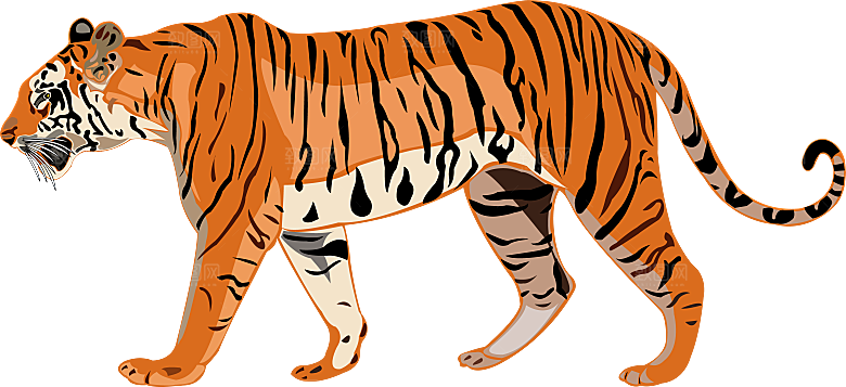 卡通水墨工笔画白描虎头老虎猛虎动物素材