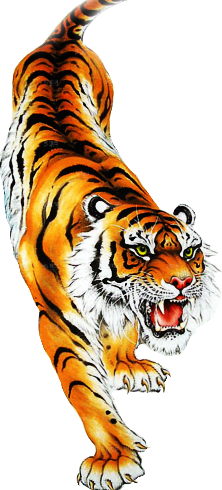 卡通水墨工笔画白描虎头老虎猛虎动物素材