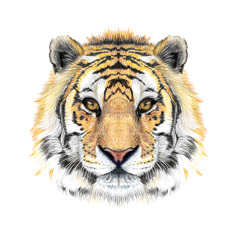 卡通水墨工笔画白描虎头老虎猛虎动物PNG