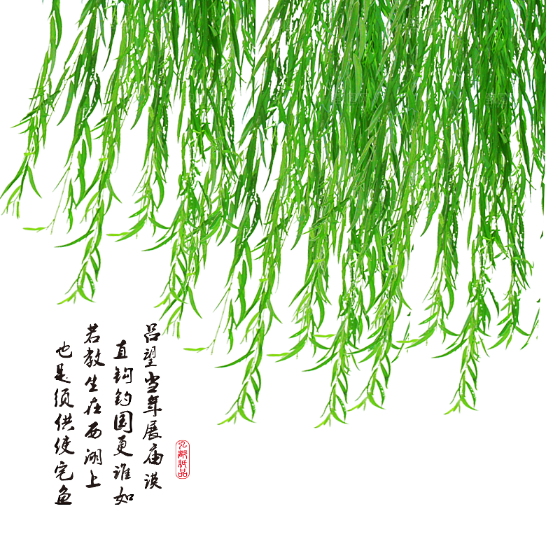 春天绿色春季水墨柳树柳枝柳条柳叶海报