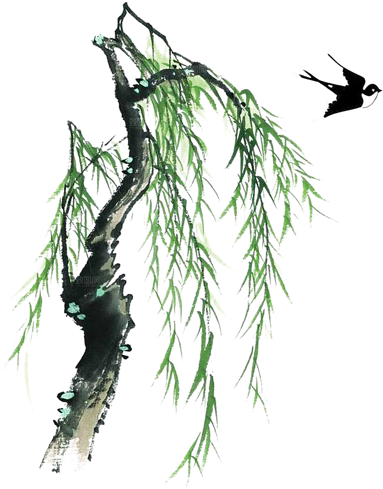 春天绿色春季水墨柳树柳枝柳条柳叶海报插画