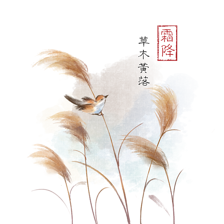 浪漫唯美手绘芦苇香蒲草丛植物PNG素材