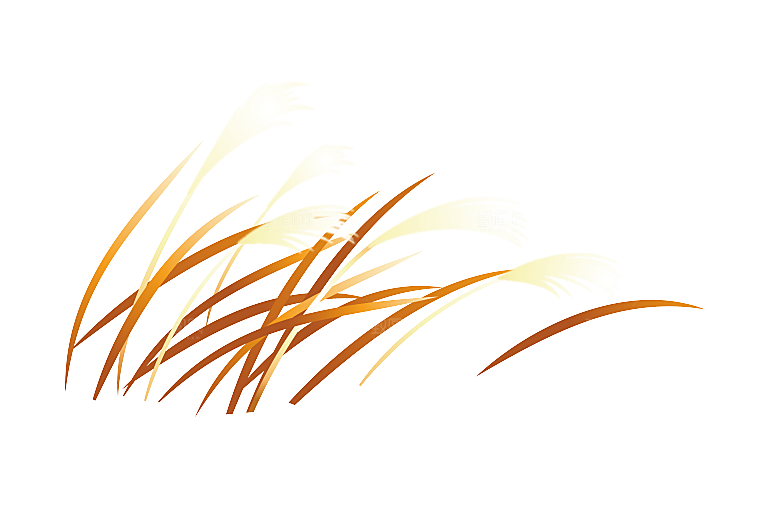 浪漫唯美手绘芦苇香蒲草丛植物PNG