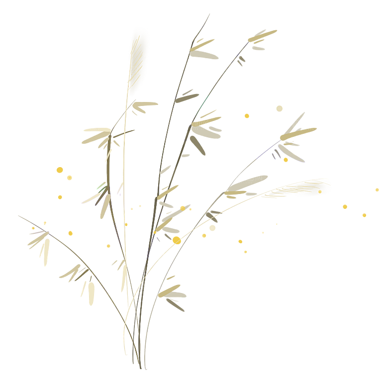 浪漫唯美手绘芦苇香蒲草丛植物PNG
