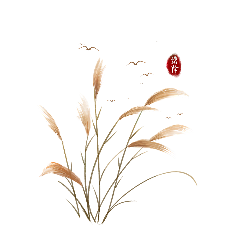 浪漫唯美手绘芦苇香蒲草丛植物PNG