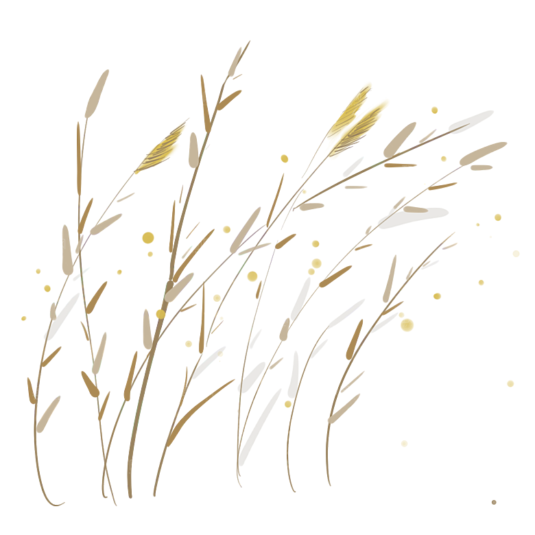 浪漫唯美手绘芦苇香蒲草丛植物PNG