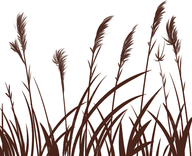 浪漫唯美手绘芦苇香蒲草丛植物PNG