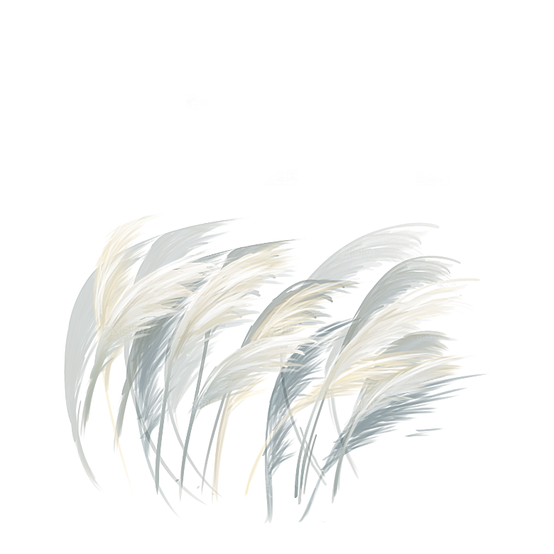 浪漫唯美手绘芦苇香蒲草丛植物PNG