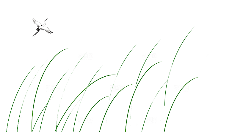 浪漫唯美手绘芦苇香蒲草丛植物PNG