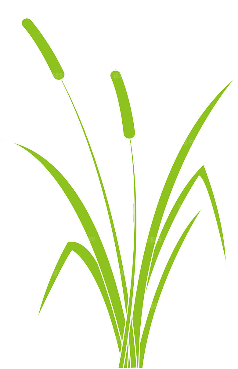 浪漫唯美手绘芦苇香蒲草丛植物PNG素材