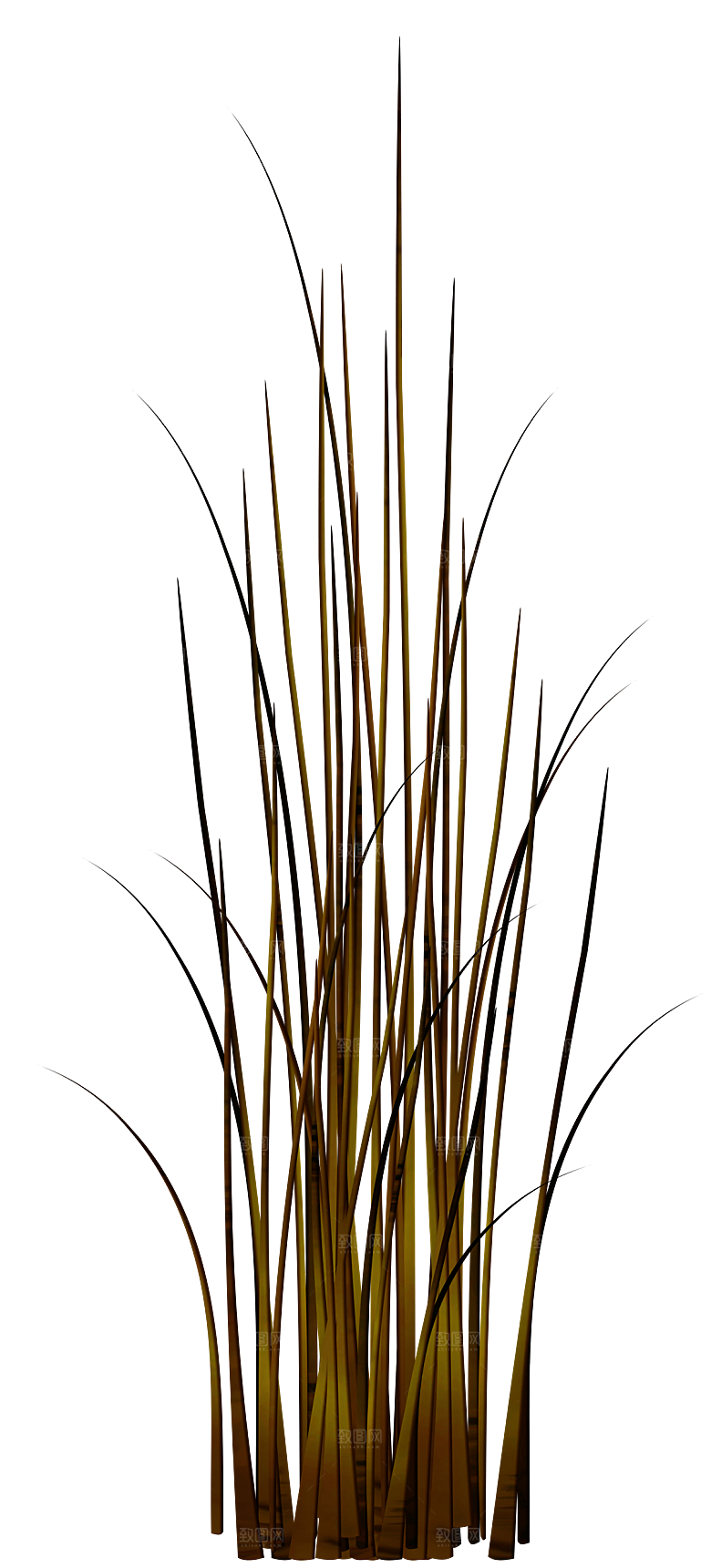 浪漫唯美手绘芦苇香蒲草丛植物PNG素材