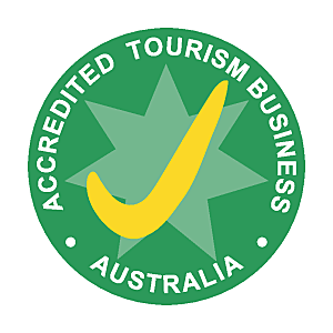 旅行logo图形图标设计