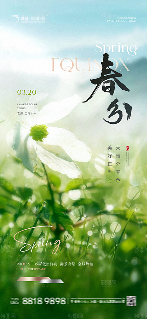 春分清明谷雨简约大气海报