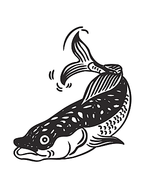 卡通鲤鱼手绘鱼类素材