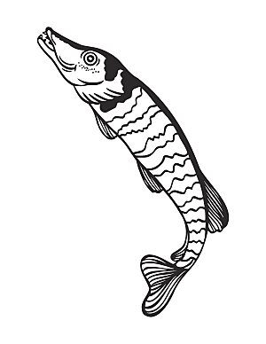 卡通鲤鱼手绘鱼类素材