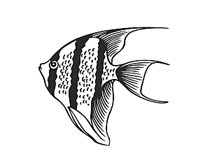 卡通手绘小鱼金鱼素材