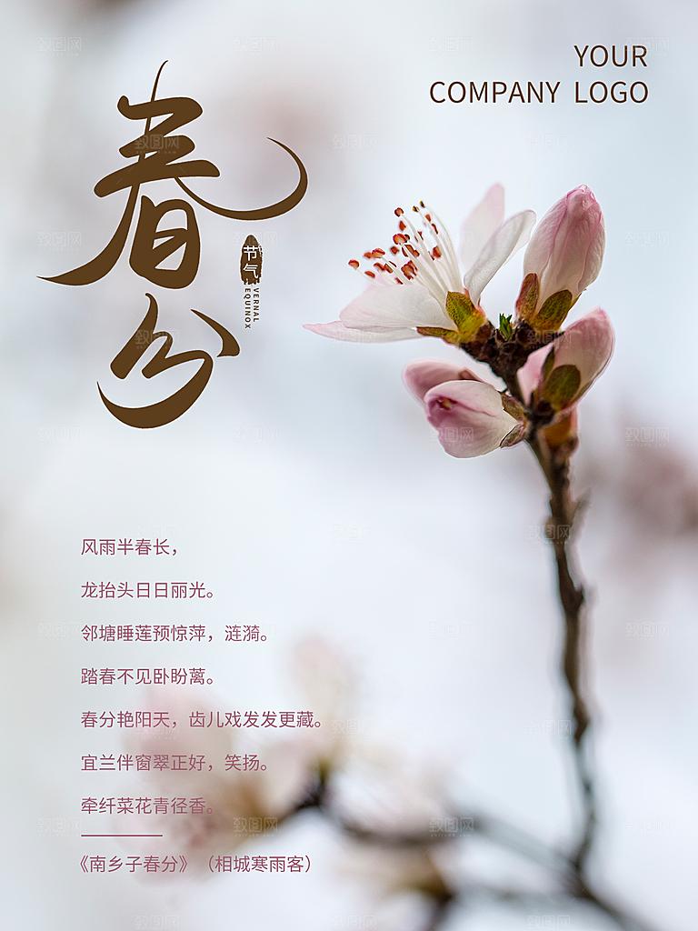 春分节气简约大气海报