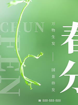 春分节气简约大气海报