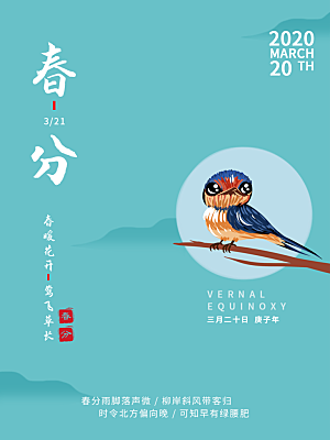 春分节气简约大气海报