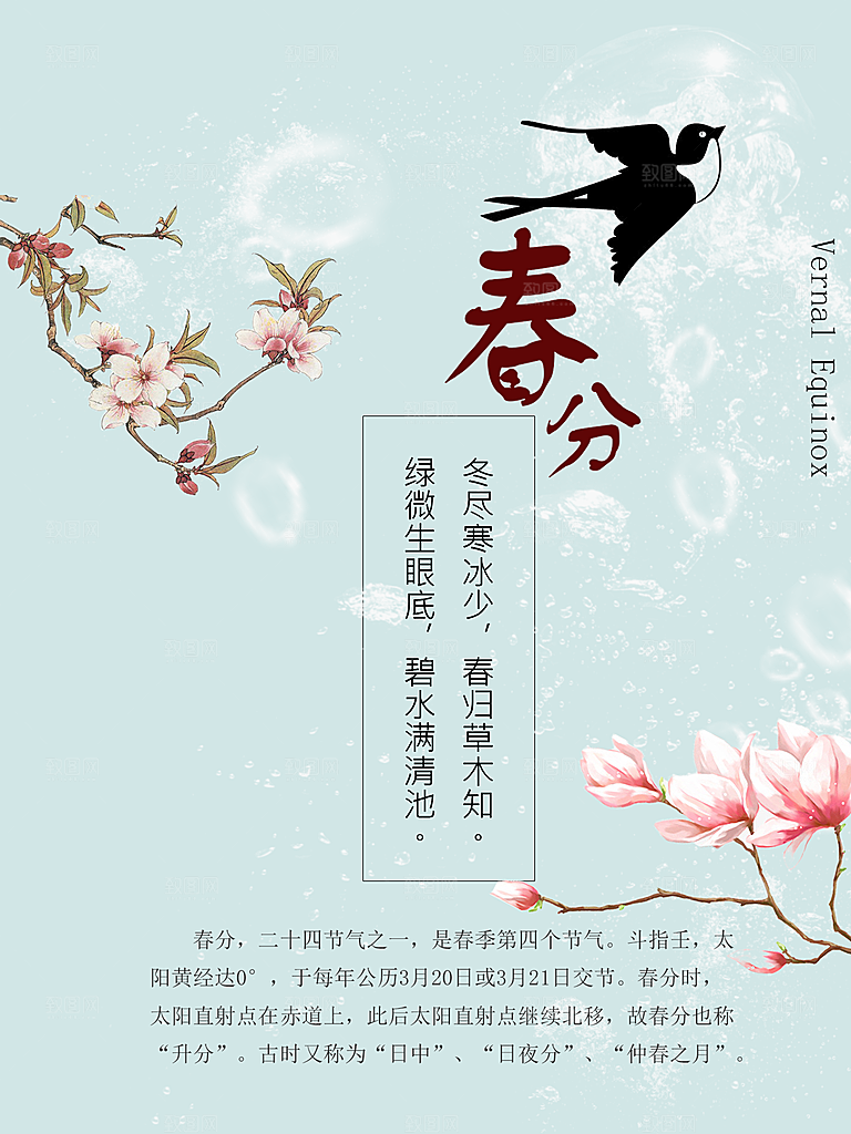 春分节气简约大气海报