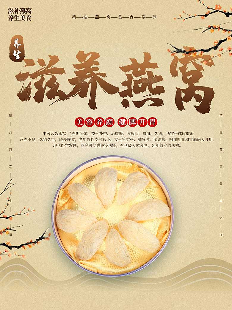 滋养燕窝宣传海报