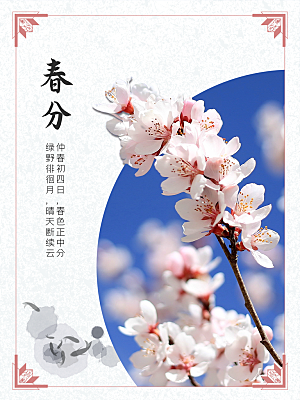 春分节气简约大气海报