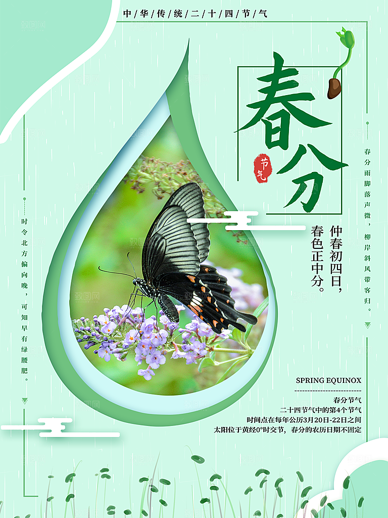 春分节气简约大气海报