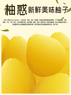 新鲜美味柚子海报