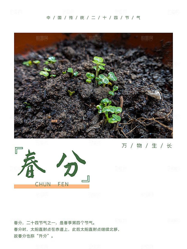春分节气简约大气海报
