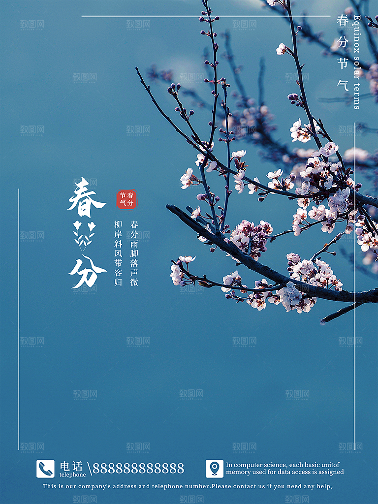 春分节气简约大气海报