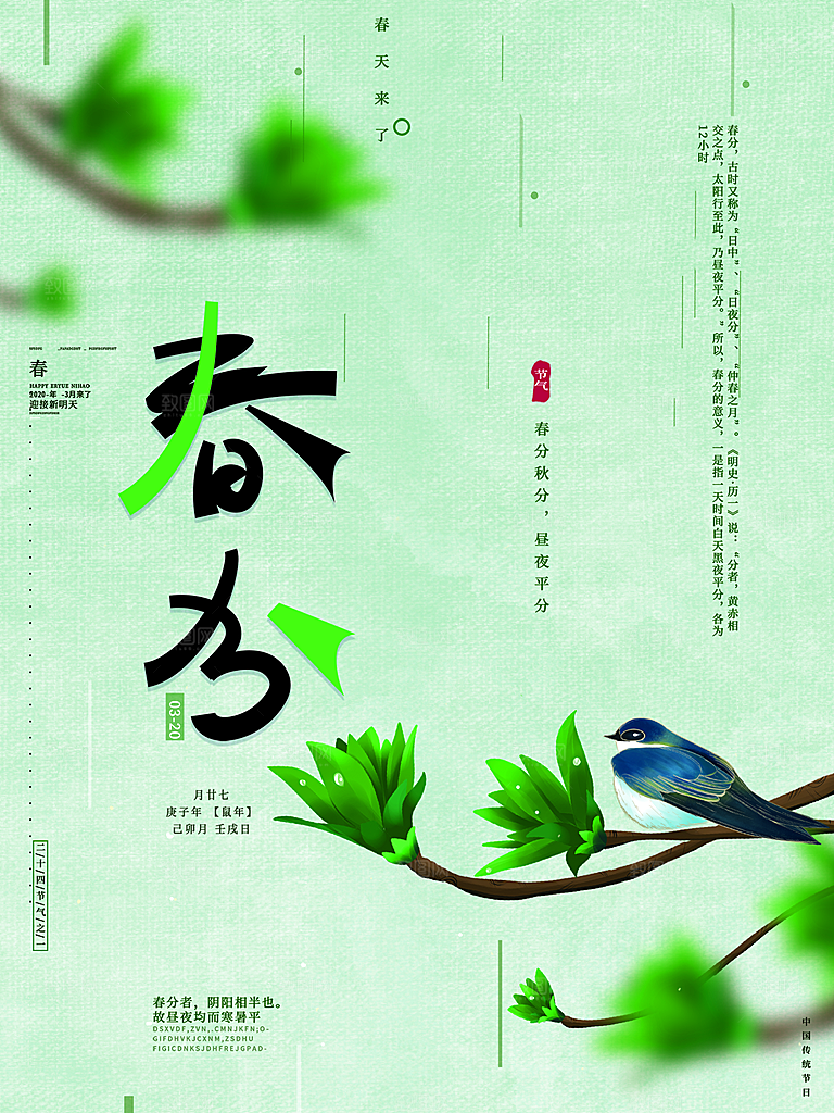 春分节气简约大气海报