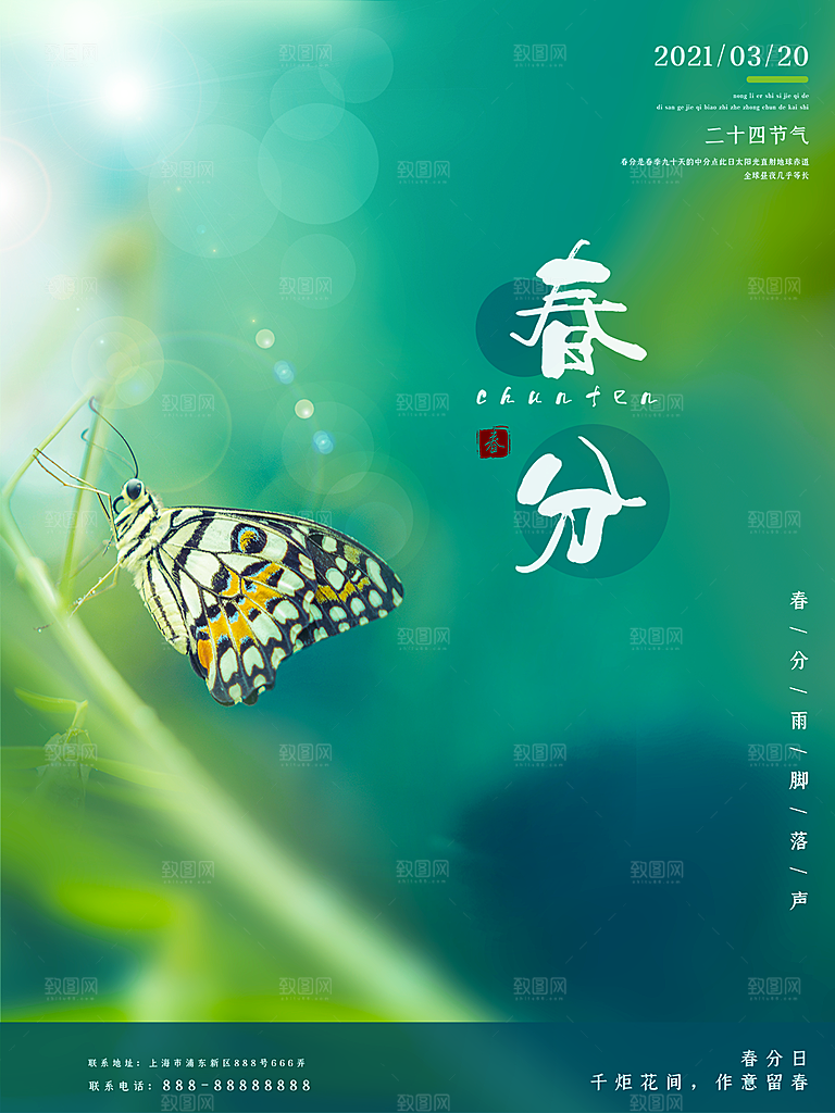 春分节气简约大气海报