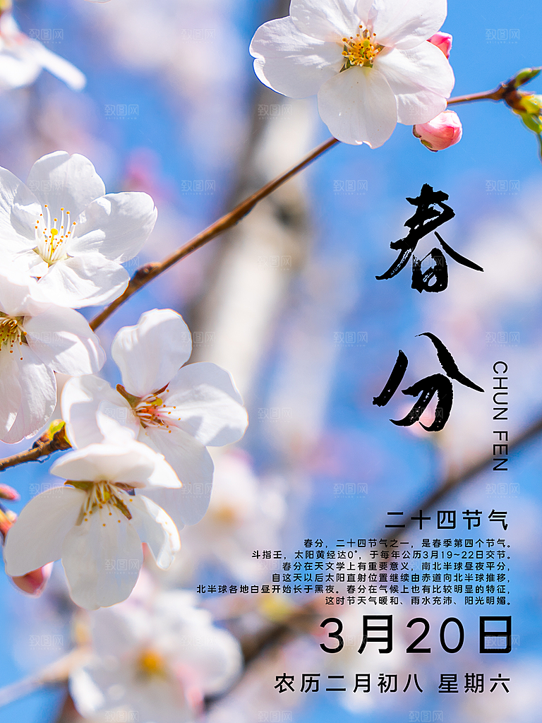 春分节气简约大气海报