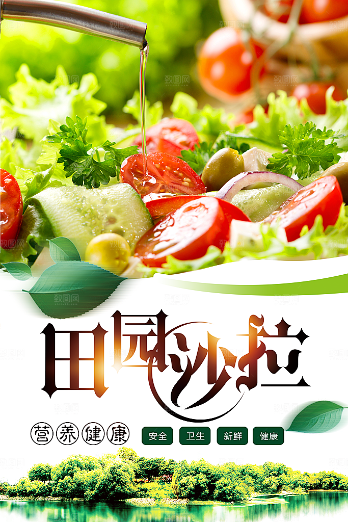 田园美食蔬菜沙拉