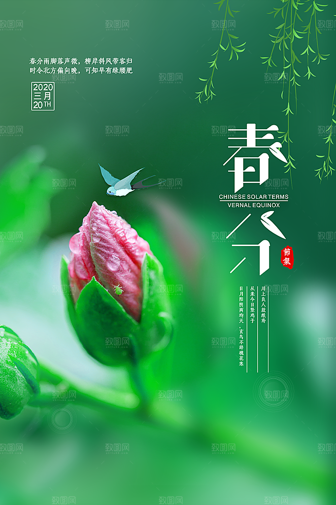 春分节气简约大气海报