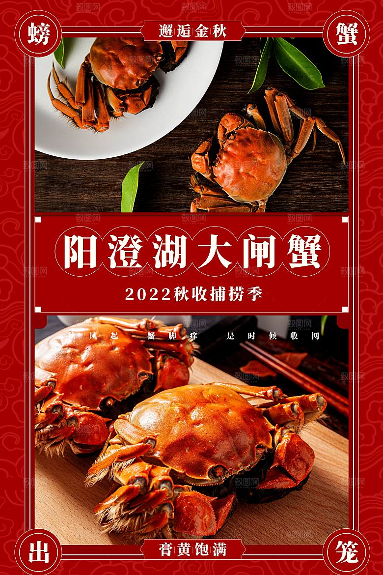金秋美食阳澄湖大闸蟹海报