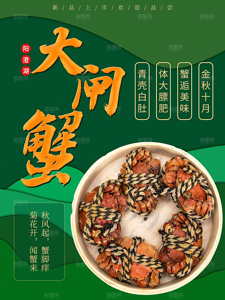 金秋美食阳澄湖大闸蟹海报
