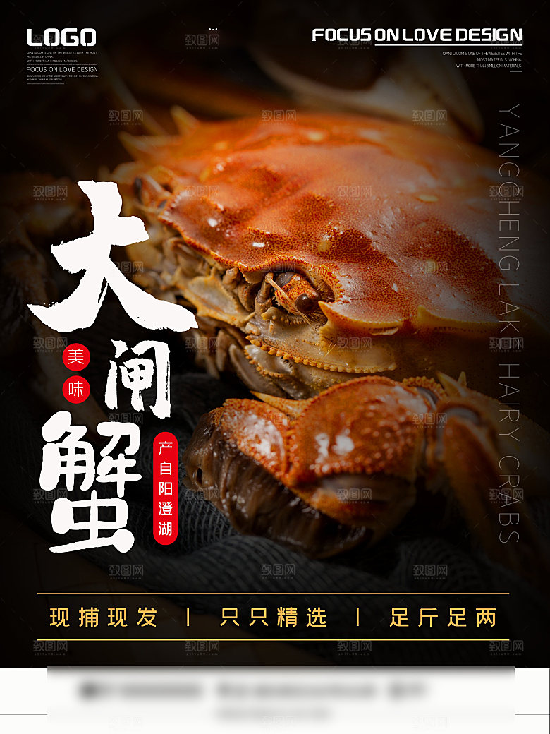 金秋美食阳澄湖大闸蟹海报