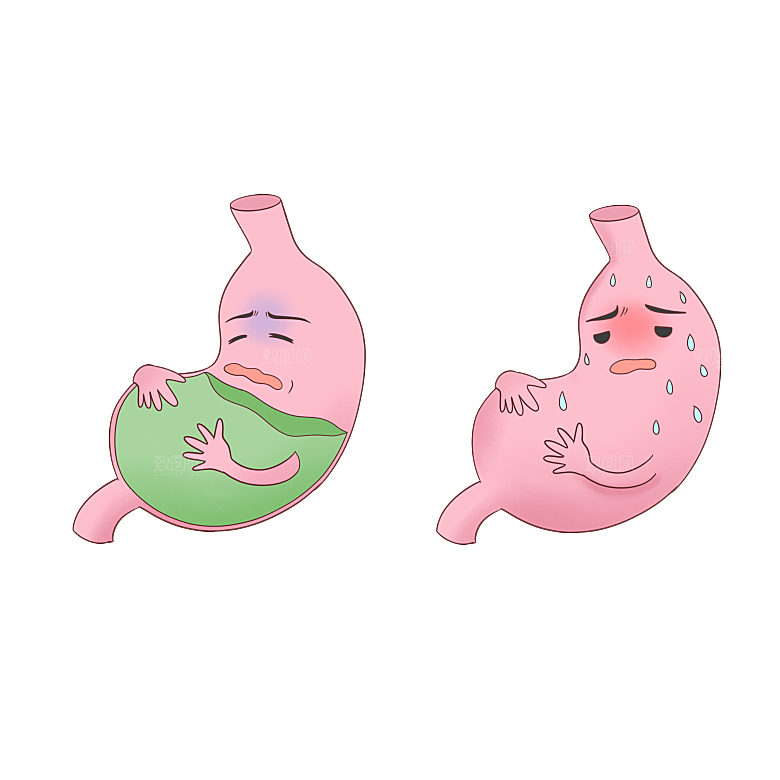 手绘医学人体器官肾脏肝脏心脏内脏