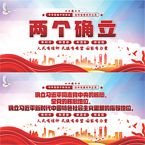 两个确立党建展板系列