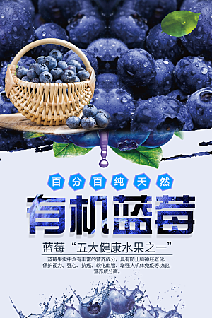 新鲜水果有机蓝莓