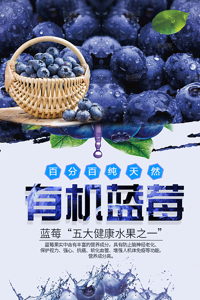 新鲜水果有机蓝莓