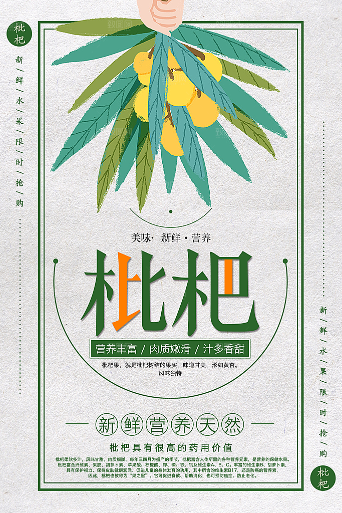 美味新鲜营养枇杷