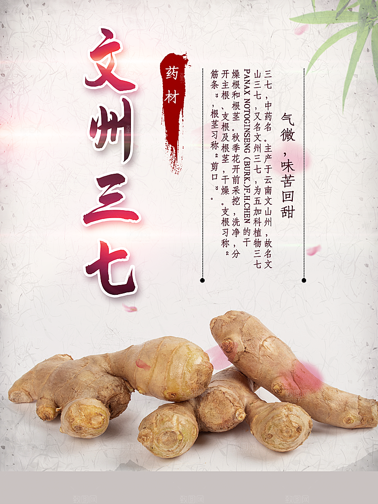 中药三七宣传海报