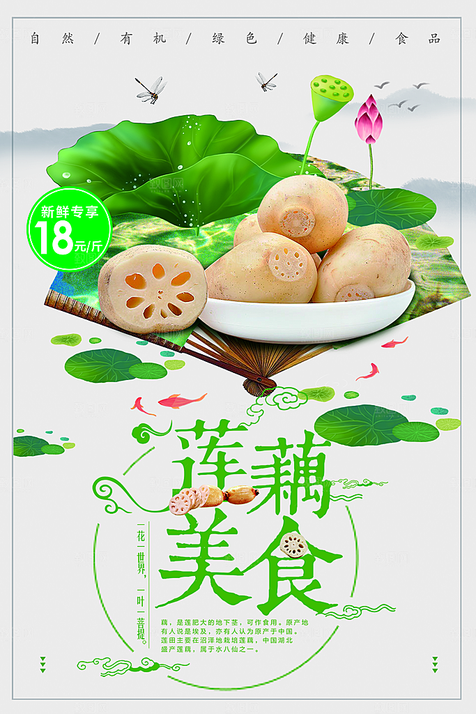 新鲜蔬菜美食莲藕
