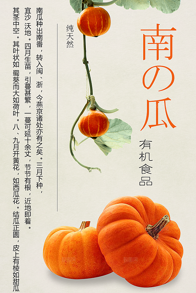 新鲜蔬菜南瓜海报