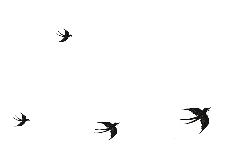 卡通手绘小春天燕子水墨燕子小鸟psd