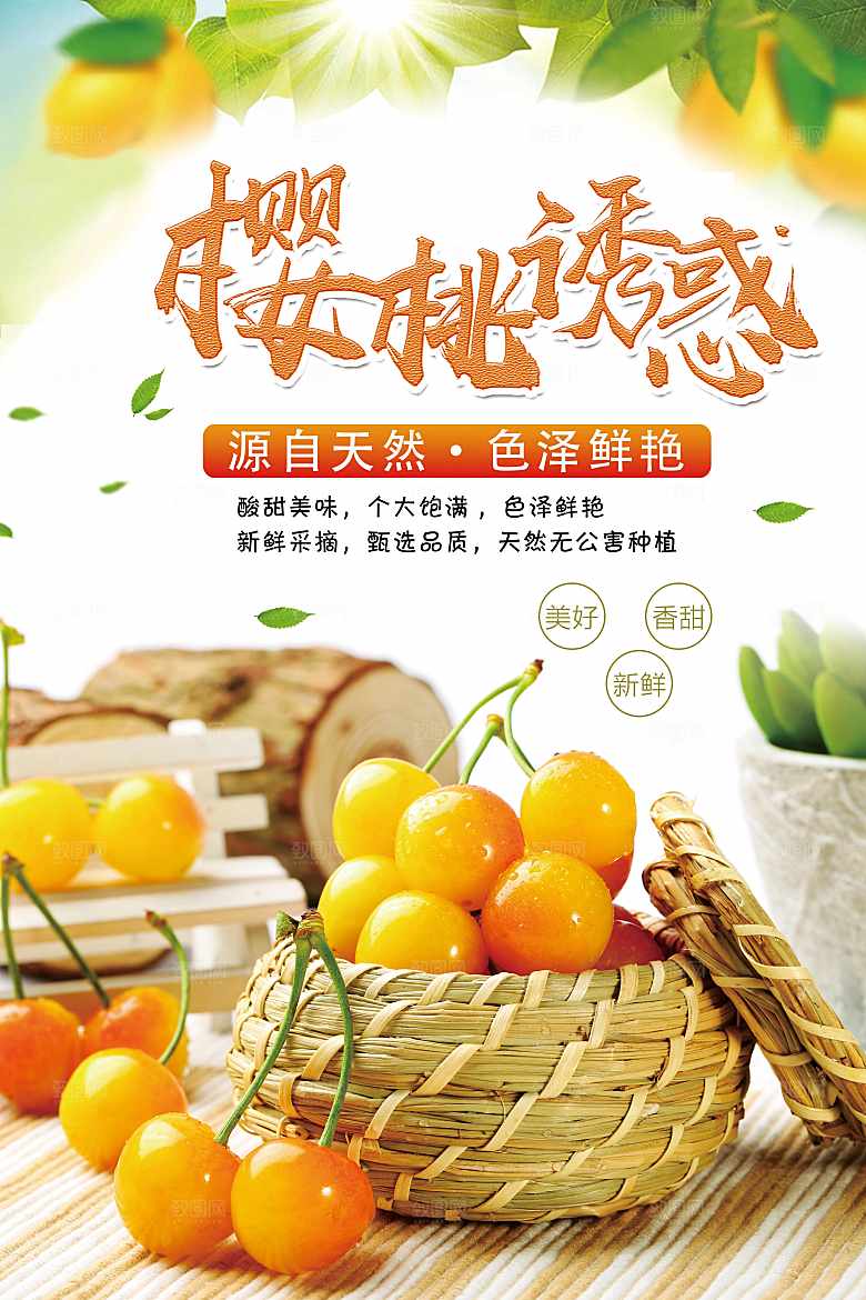 天然美味水果樱桃