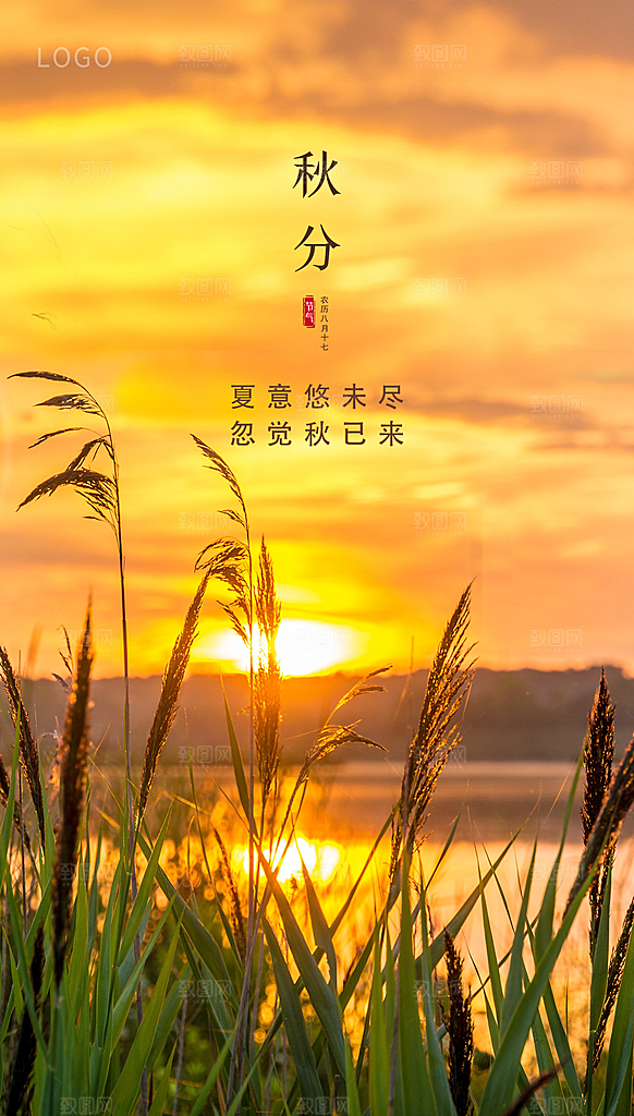 地产秋分节气简约大气海报